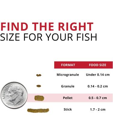 Fluval Bug Bites Cichlid Fish Food 3.53 oz - Nutritious Formula for Healthy Cichlids - Buy Online on SooperMarket.com