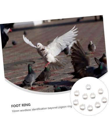 Yardwe 300 Pcs Pigeon Anklet Chicken Drumsticks Tag Plastic Foot Ring for Pigeon Poultry Pen Parrot Baby 1.3X1.3CMx3pcs Whitex3pcs - Buy Online on SooperMarket.com