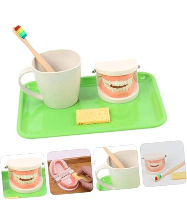 Shop Healvian 3 Sets Early Dental Education Toys - Wooden Denture Model for Kids | Reusable Toiletries - Buy Online on SooperMarket.com