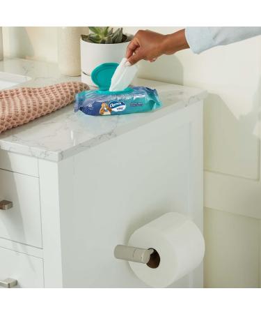 Charmin Flushable Wipes - 160 Total Wipes (4 packs, 40 Wipes Per Pack) - Buy Online on SooperMarket.com