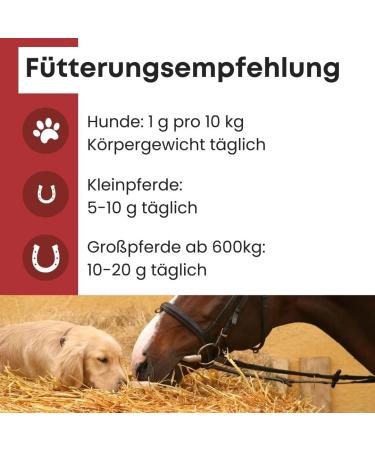 Petgold MSM Horse Powder 1000g | High Dose Sulfur Methylsulfonylmethane for Dogs & Horses - Buy Online on SooperMarket.com