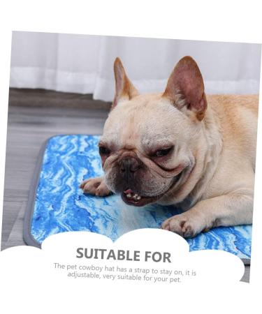 Balacoo Pet Mat Dog Mat Dog Cot Dog Bed Breathable Cooling Pad Wear-Resistant Cooling Mat Puppy The Dog S Sky-blue - Buy Online on SooperMarket.com