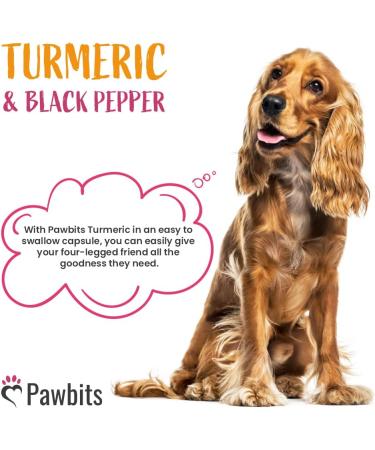 180 Turmeric for Dogs with Bioperine | Natural Premium Curcumin Capsules for Pets | Antioxidant Supplement for Hip & Joints - 180 Caps - Buy Online on SooperMarket.com