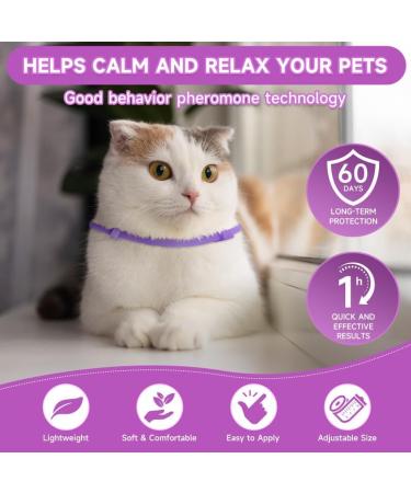 Woyamay Calming Collar for Cats Luminous Safety Glow Adjustable Calming Cat Collar for Anxiety Relief Natural Cat Calming Pheromone Collar with 60 Days for Kitten Medium Large Cats 2 Pack Purple Purple-2 Pack - Buy Online on SooperMarket.com