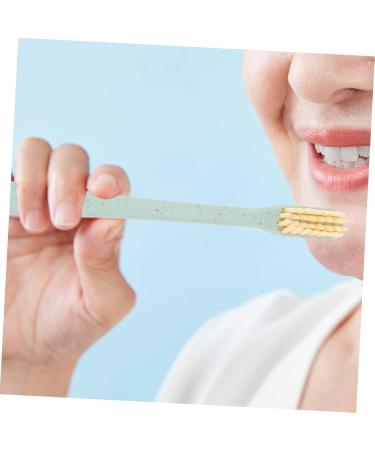 Beavorty 4-Piece Soft Toothbrush Set Gentle Teeth & Tongue Cleaning for a Healthier Smile | International Shipping - Buy Online on SooperMarket.com