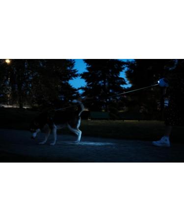 Ultra White Extendable Dog Lead with LED Light & Waste Bag Holder - 5m Retractable Leash for Large Dogs - Reflective & Strong Training Lead for Small, Medium, and Large Dogs - Buy Online on SooperMarket.com