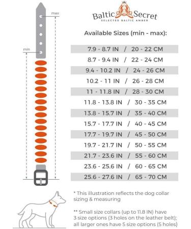 Amber Necklace for Dogs & Cats - Natural Tick & Flea Protection | Baltic Secret - Buy Online on SooperMarket.com
