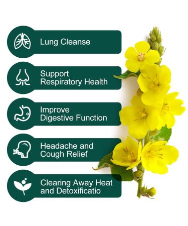 Mullein Leaf Tea Bags - Respiratory Support Herbal Tea | Caffeine-Free | 40 Tea Bags - Buy Online on SooperMarket.com