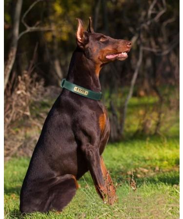 Tagme Personalized Leather Dog Collar - Engraved Name & Phone Number | Adjustable Green Collar for Small Medium & Large Dogs (33-39cm) - 1 Pack - Buy Online on SooperMarket.com