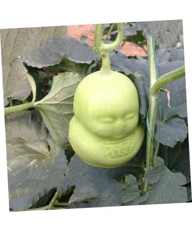 Anneome 2pcs Vegetable Shaping Mold Fruit Cucumber Shaping Molds Adorable Melon Mold Watermelon Pumpkin - Buy Online on SooperMarket.com