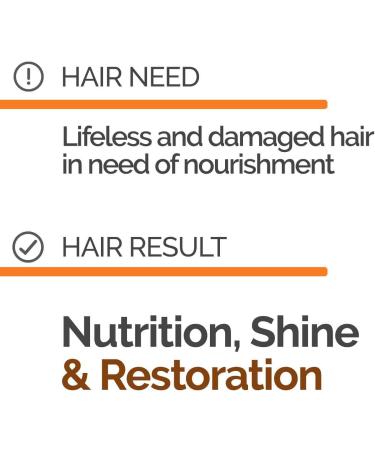 Novex Shampoo Conditioner and Hair Mask Bundle (Cacao & Almond) - Buy Online on SooperMarket.com