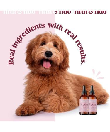 Dog Adrenal Support - Herbal Kidney & Cushings Treatment - 2 Fl Ounces - Buy Online on SooperMarket.com