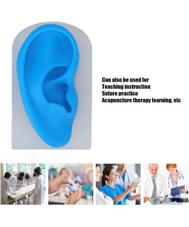 Silicone Soft Ear Model for Earrings Display with Stand - Practice Tool for Studs & Teaching - Realistic Imitation Ear - Buy Online on SooperMarket.com