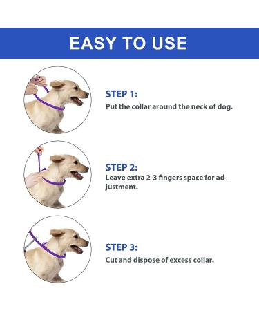 Flea Collar for Dogs 2-Pack Purple | 8 Months Protection | Prevent, Control, & Treat Fleas and Ticks | Adjustable 25 Inch | Free Comb Included - Buy Online on SooperMarket.com