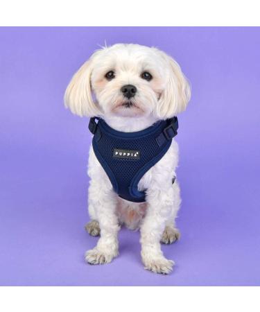 Puppia Ritefit Dog Harness for Small to Medium Dogs - Adjustable & Soft | Atani Train Crockery for Puppies - Navy XL - Buy Online on SooperMarket.com