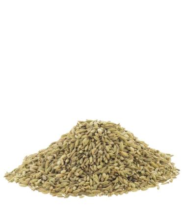 Organic Whole Fennel Seed 1/2 lb - Digestive Comfort Spice Supplement - USDA Certified - Foeniculum vulgare - 8 oz - Buy Online on SooperMarket.com