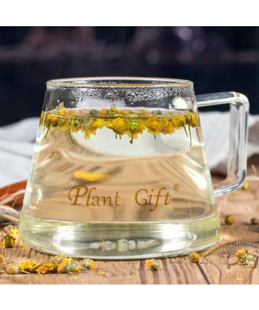 Buy Wild Chrysanthemum Tea - Authentic Chinese Tea 60g | Health Benefits | International Shipping - Buy Online on SooperMarket.com