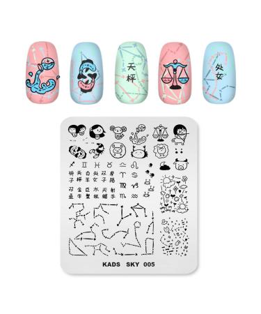 Alexnailart Nail Stamping Plates Nail Art Templates Image Template Nail Design Manicure Stencil Tool (SKY 005)
