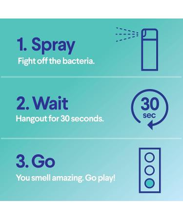 Clorox Fabric Sanitizer Aerosol Spray - Lavender Scent 14oz - Buy Online on SooperMarket.com