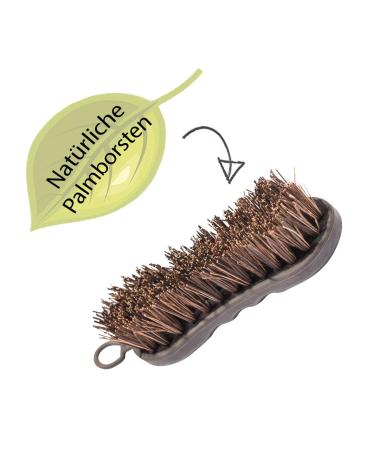 Animalon Hoof Brush for Horses | Premium Hard Natural Bristles | Essential Hoof Care Tool | Durable Small Root Brush for Cleaning & Grooming - Buy Online on SooperMarket.com