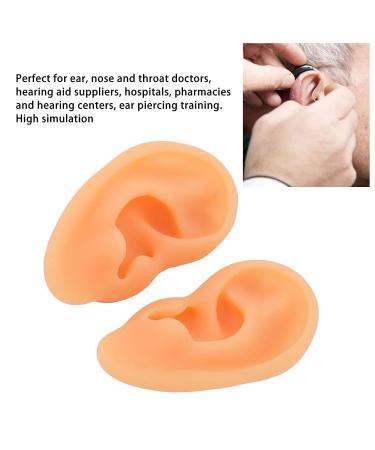 Ear Model ANGGREK 2 Pieces Ear Modeling Tools Hearing Amplifier Dispalying Assistance Display Ear Model Ear Wraps for Teaching Replacement - Buy Online on SooperMarket.com