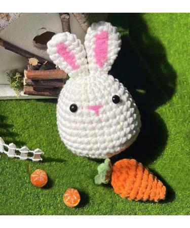 Beginner Crochet Kit: Rabbit & Carrot Stuffed Animal DIY Set with Video Tutorials - Buy Online on SooperMarket.com