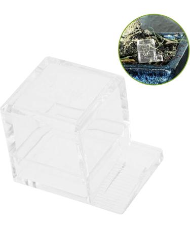 BESPORTBLE 4pcs Pet Water Feeder Ants Nest Water Feeding Area Water Bowl for Ants Small Ants Feeder Plastic - Buy Online on SooperMarket.com
