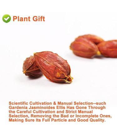 Buy Organic Gardenia Fruit Tea 80G | Chinese Herbal Tea - Jasmine Flavor - Natural Wellness - Buy Online on SooperMarket.com