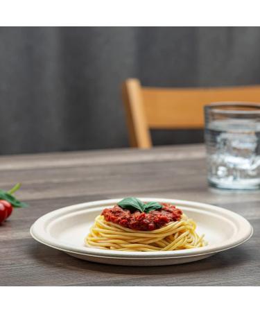 Disposable Sugarcane Paper Dinner Plates 9 Inch 125 Pack Brown Unbleached - Buy Online on SooperMarket.com