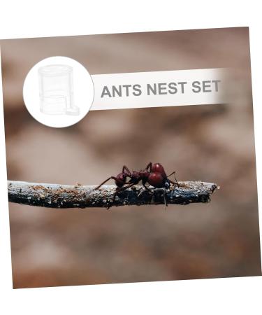 Buy Minkissy 3pcs Pet Water Feeder & Ant Farm Observation Kit | Mini Pet Houses & Acrylic Feeding Cup for Ants | International Shipping Available - Buy Online on SooperMarket.com