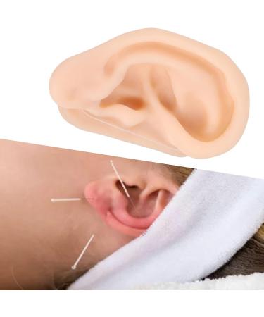 Silicone Ear Model for Acupuncture Practice | Realistic Fake Ear with Presentation Stand - International Shipping Available - Buy Online on SooperMarket.com