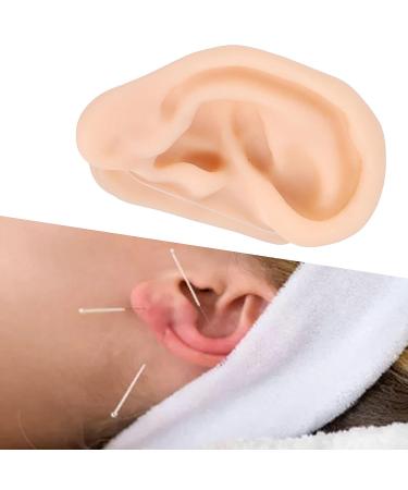 Piercing Practice Model: Soft Silicone Ear Simulation for Acupuncture Practice in Hospital Display - Buy Online on SooperMarket.com