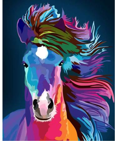 iCoostor Wooden Framed Paint by Numbers DIY Acrylic Painting Kit for Kids & Adults Beginner - 12" x 16"Abstract Horse Pattern 12"Wx16"L Framed Horse