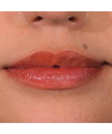 Palladio Lip Stain Hydrating and Waterproof Formula Matte Color Look Longlasting All Day Wear Lip Color Smudge Proof Natural Finish Precise Chisel Tip Marker Rose Rose 1 count (Pack of 1) - Buy Online on SooperMarket.com