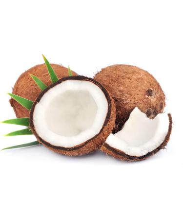 GreatVita Organic Virgin Coconut Oil - Pack of 6 (1000ml/1L) Swing Top Jar - Premium Quality for Cooking & Skincare - Buy Online on SooperMarket.com