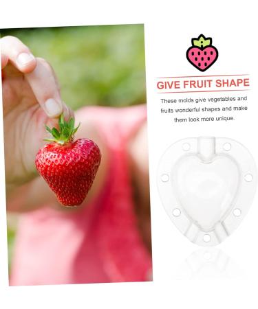 Mipcase 5pcs Fruit Shaping Mold Garden Tool Fruit Protection Cucumber Mold Vegetable Fruit Cucumber White - Buy Online on SooperMarket.com
