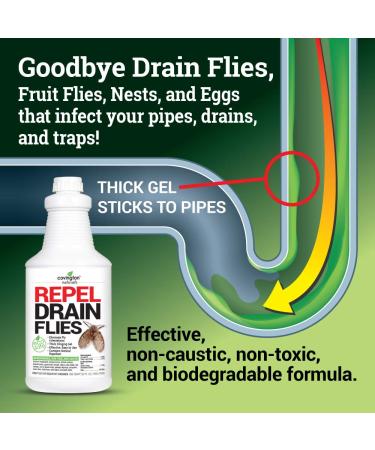 Covington Drain Fly Repellent | Eliminate Drain Flies in Kitchen & Bathroom Sinks | Effective Drain Fly Treatment - Buy Online on SooperMarket.com