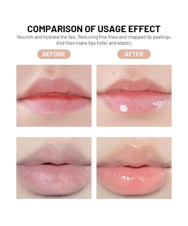 FREEORR 2Pcs Lip Plumper Gloss - Hydrating Lip Oil with Green Tea & Vitamin E for Fuller, Elastic Lips - Buy Online on SooperMarket.com