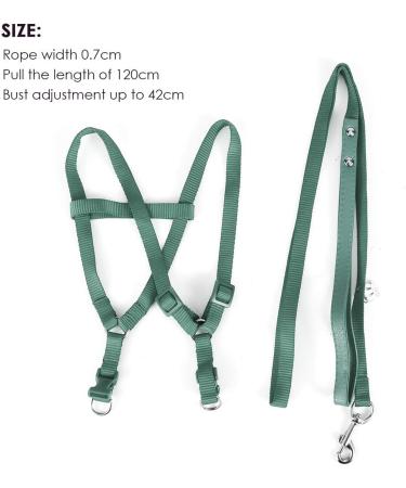 Felenny Bird Dishes & Adjustable Leash - Essential Outdoor Accessories for Scarlet Red Ara Sun Conure & Nymphensittich (Green Small) - Buy Online on SooperMarket.com