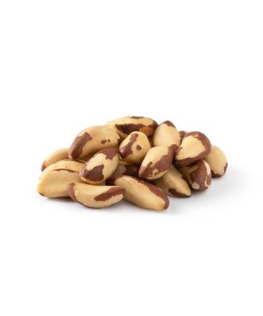 NUTS U.S.  Brazil Nuts | Shelled Whole Kernels | Raw and Unsalted | Non-GMO and Steam Pasteurized | Packed In Resealable Bags!!! (1 LB) 1 Pound (Pack of 1)