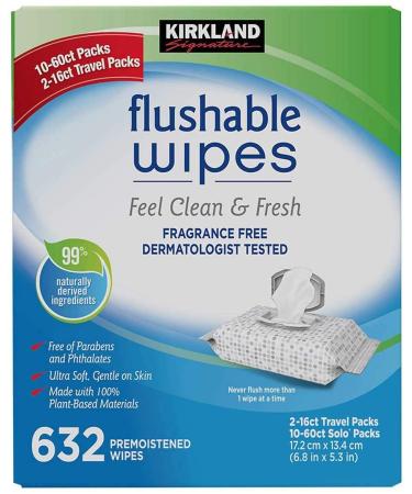 Kirkland Signature Moist Flushable Wipes 632 Wipes 632 Count