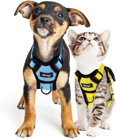 Breakproof Cat Dishes & Adjustable Soft Kitten Vest Set - Light Blue XS | Reflective Stripes for Safety - Buy Online on SooperMarket.com