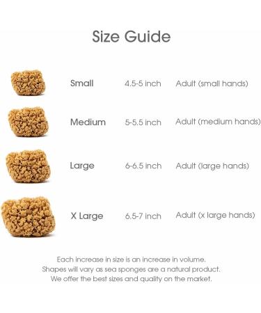 Naroa Natural Sea Sponge for Bathing | Firm Exfoliating Body Scrubber | Eco-Friendly & Renewable | Medium Size | Men & Women - Buy Online on SooperMarket.com