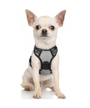 Rabbitgoo dog harness Small dogs anti -train cuddling dog with control no pull adjustable dog harness large dogs breathable reflex stripes breast harness dog safe guidance gray xs xs (1 Pack) gray