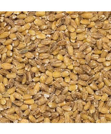Wholefood Earth Pearl Barley 2 kg | GMO Free | High Fibre 2kg - Buy Online on SooperMarket.com