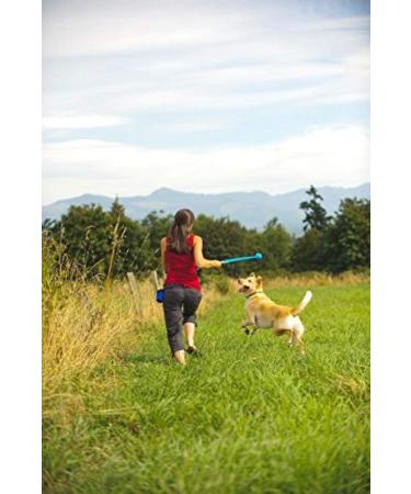 ChuckIt! The Whistler Ball Durable High Bounce Rubber Dog Ball Launcher Compatible Orange & Blue Medium 2 Pack Medium Pack of 2 - Buy Online on SooperMarket.com
