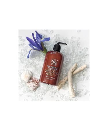 Buy Soapbox SBX00678 Liquid Hand Soap - Sea Minerals & Blue Iris | 12 Fl. Oz. - Moisturizing & Eco-Friendly - Buy Online on SooperMarket.com