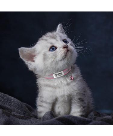 Tagme 2 Pack Pink Katzenollsband f r Kittens | Sicherheitsband mit Name & Telefonnummer | Verstellbar 15-20 cm mit Glocke - Buy Online on SooperMarket.com