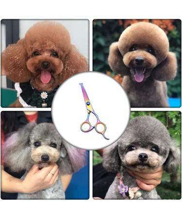 Dog Grooming Scissors Stainless Steel Pet Curved Shears Cutting Trimming Scissors with Round Tip for Grooming Dogs Cats - Buy Online on SooperMarket.com