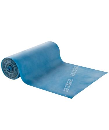 Val-U-Band Exercise Band Blueberry Blueberry: Heavy 6 yard: Box Latex